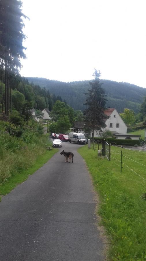 FEWO PacoHaus Willingen Brilon Exterior foto